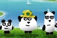 3 Panda in Brasile 3 Panda in Brasile