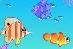 Acquario Acquario