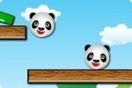 Amici panda Amici panda