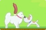 Animali innamorati Animali innamorati