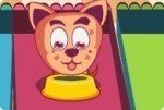 Asilo per animali Asilo per animali