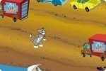 Cat crossing Cat crossing