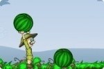 Cocomeri per gli ippopotami Cocomeri per gli ippopotami