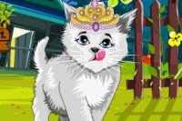 Cute Kitty - Dress Up Cute Kitty - Dress Up