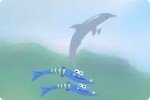 Delfino acrobatico 2 Delfino acrobatico 2