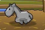 Horse Rancher Horse Rancher