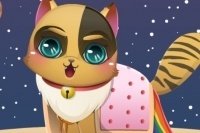 Il tenero gattino Il tenero gattino