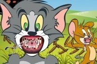Il dentista di Tom en Jerry Il dentista di Tom en Jerry