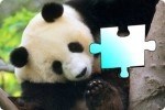 Il puzzle del panda Il puzzle del panda