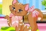 La gattina chic La gattina chic