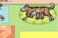 Mama Dog Mama Dog