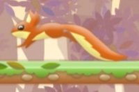 Nut Rush Nut Rush