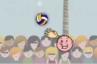 Pallavolo a testate Pallavolo a testate