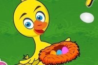 Paperella attenta Paperella attenta