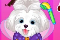 Puppy Beauty Salon Puppy Beauty Salon