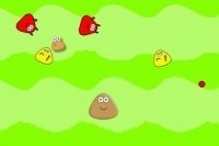 Salvataggio dei piccoli Pou Salvataggio dei piccoli Pou