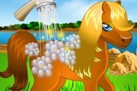 Lava il tuo Pony